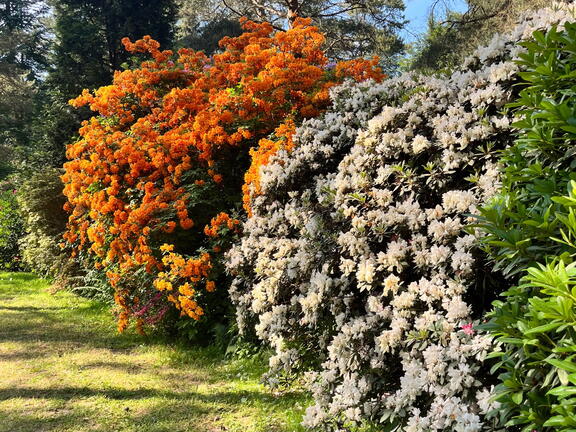 23-06-03 16-57-13 5807